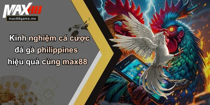 Kinh nghiệm cá cược đá gà philippines hiệu quả cùng max88